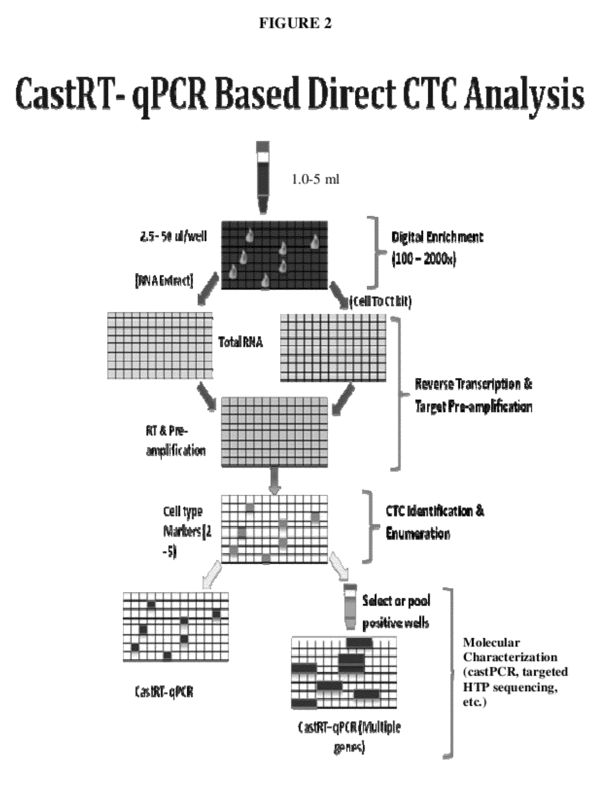 Methods, compositions, and kits for detecting rare cells