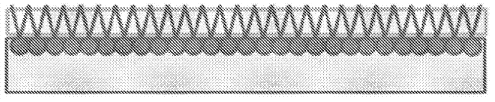 Self adapting polymers for anhydrous sunscreen formulations