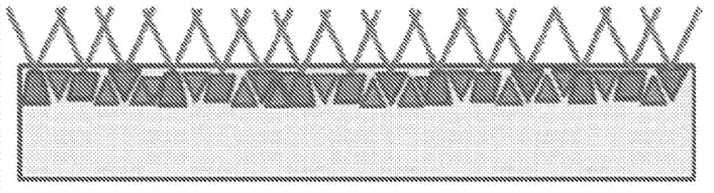 Self adapting polymers for anhydrous sunscreen formulations