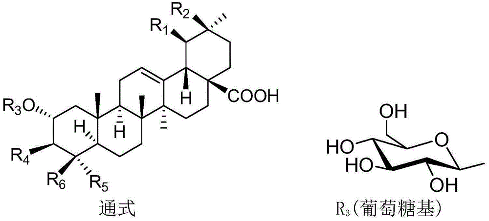 Polyglycosidated pentacyclic triterpene-28-acid, and preparation method and application thereof