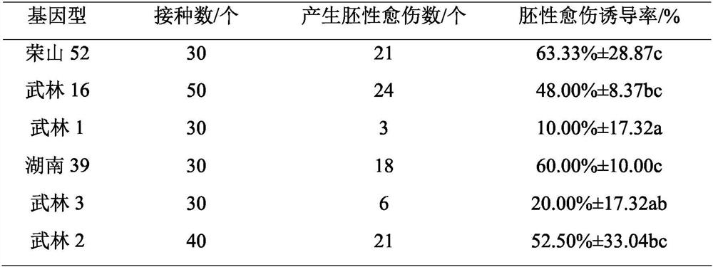 A method for inducing embryogenic callus of taeda pine and its special medium