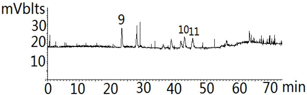 Detecting method for measuring content of flavonoid compounds and terpene lactone compounds in ginkgo leaf extract or preparations of ginkgo leaf extract at same time