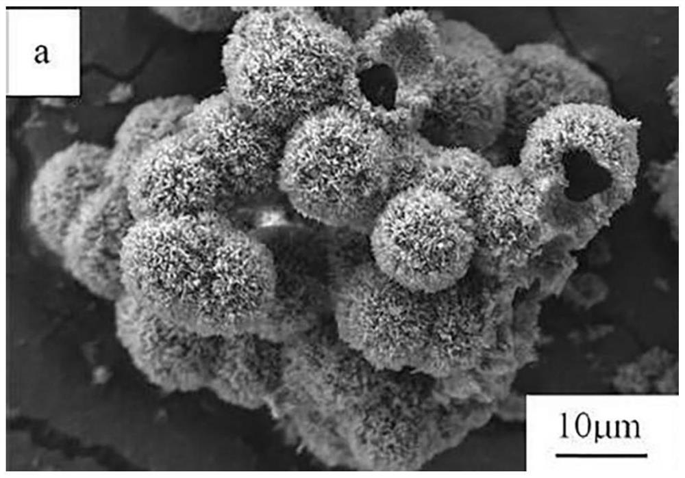 Method for preparing self-assembled hollow alumina microspheres by taking sesbania gum as template