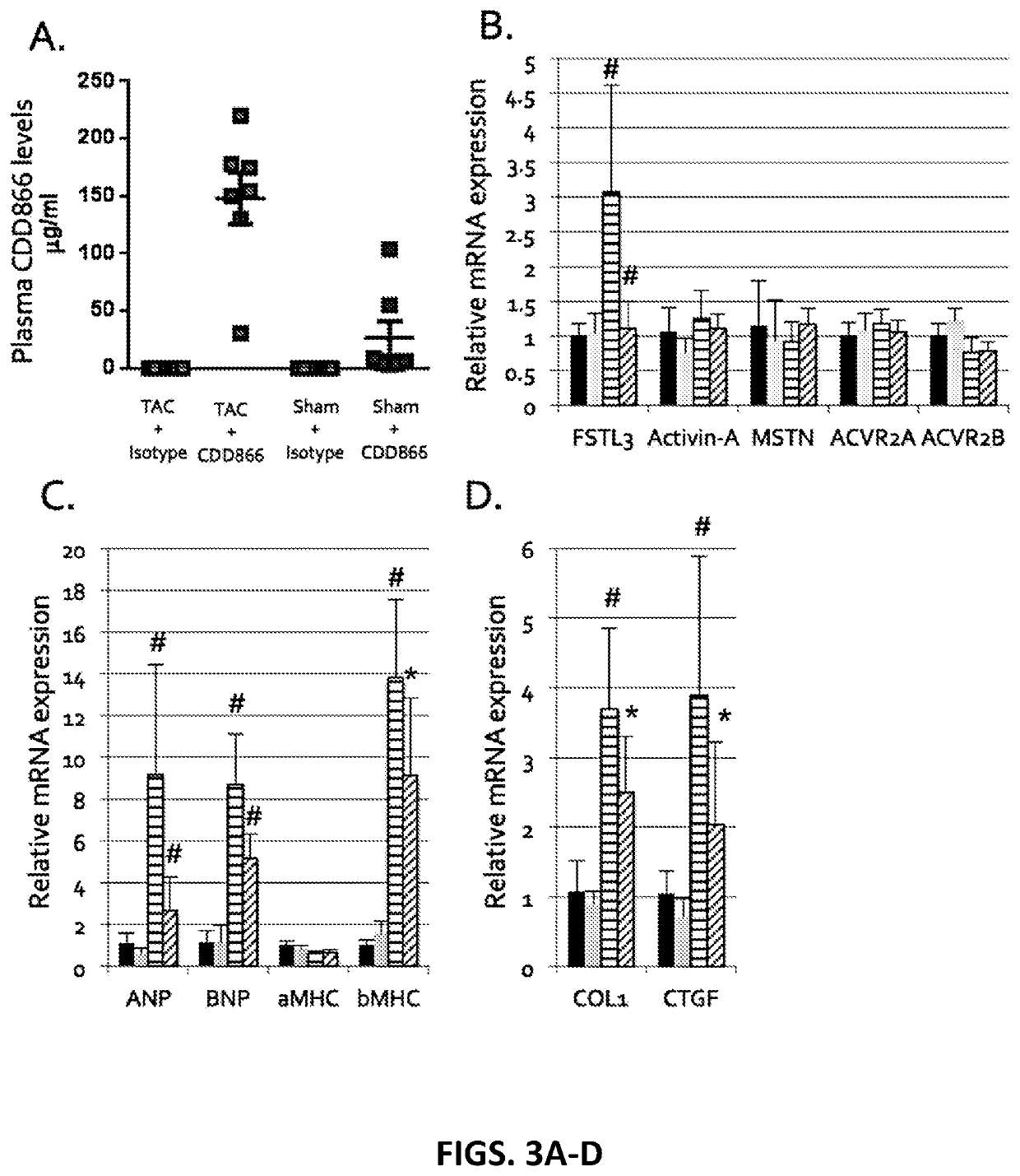 Methods for treating and/or reducing the likelihood of heart failure by administering anti-activin receptor type II (anti-ActRII) antibody