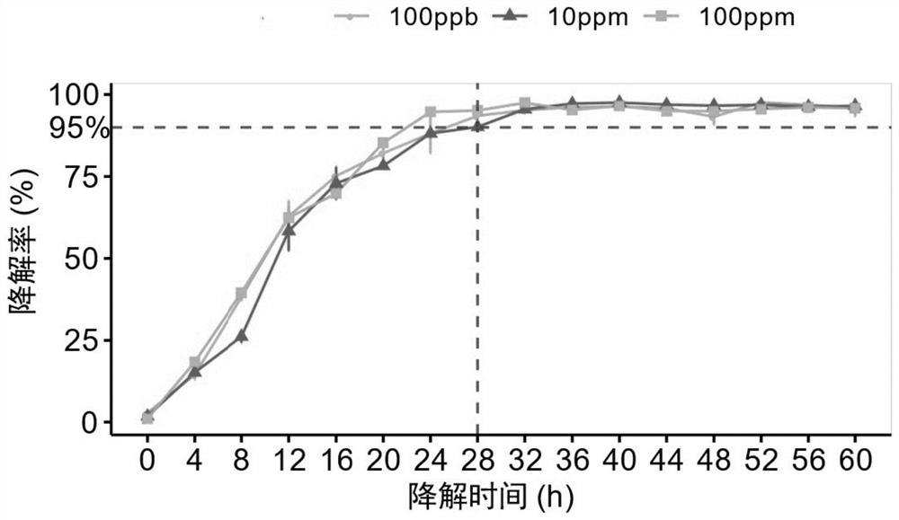 Aspergillus niger capable of rapidly degrading zearalenone and application of aspergillus niger