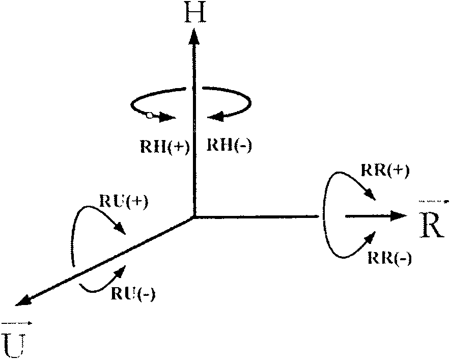 Virtual plant visualization system based on Web and virtual plant building method