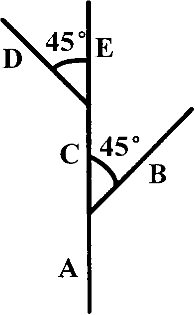 Virtual plant visualization system based on Web and virtual plant building method