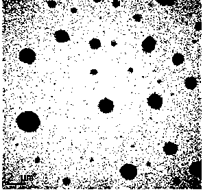 Sorafenib nano particle and application thereof