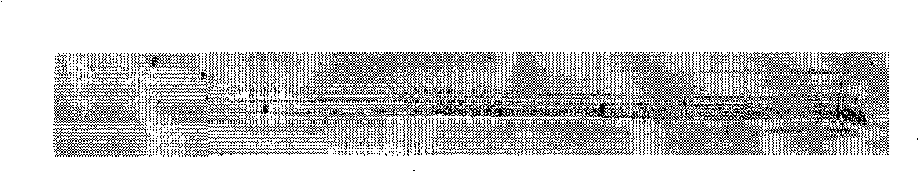 Method for preparing of low stress chromium nitride multilayer hard film