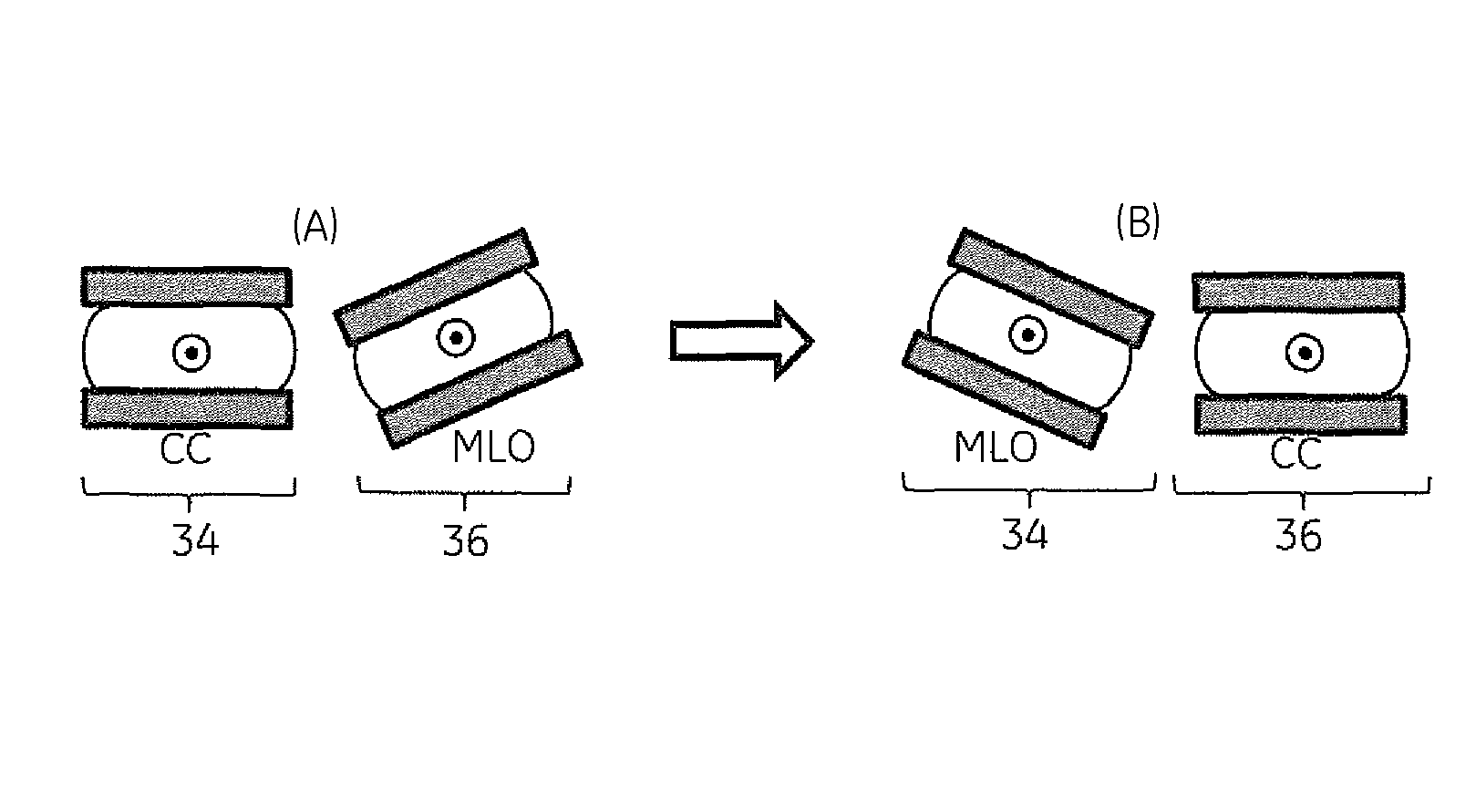 Apparatus and method for reducing examination time in molecular breast imaging