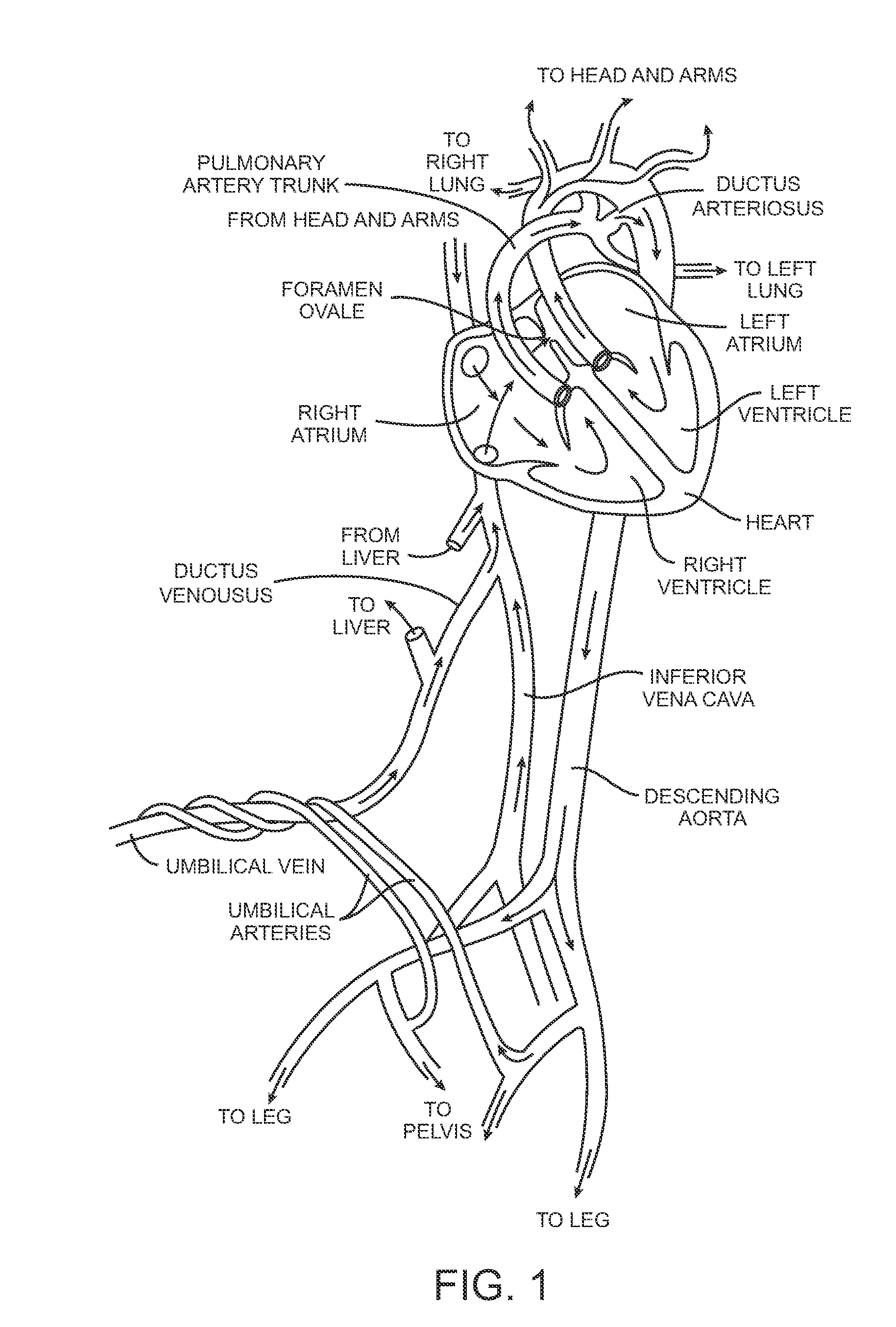 Methods and apparatus for closing a layered tissue defect