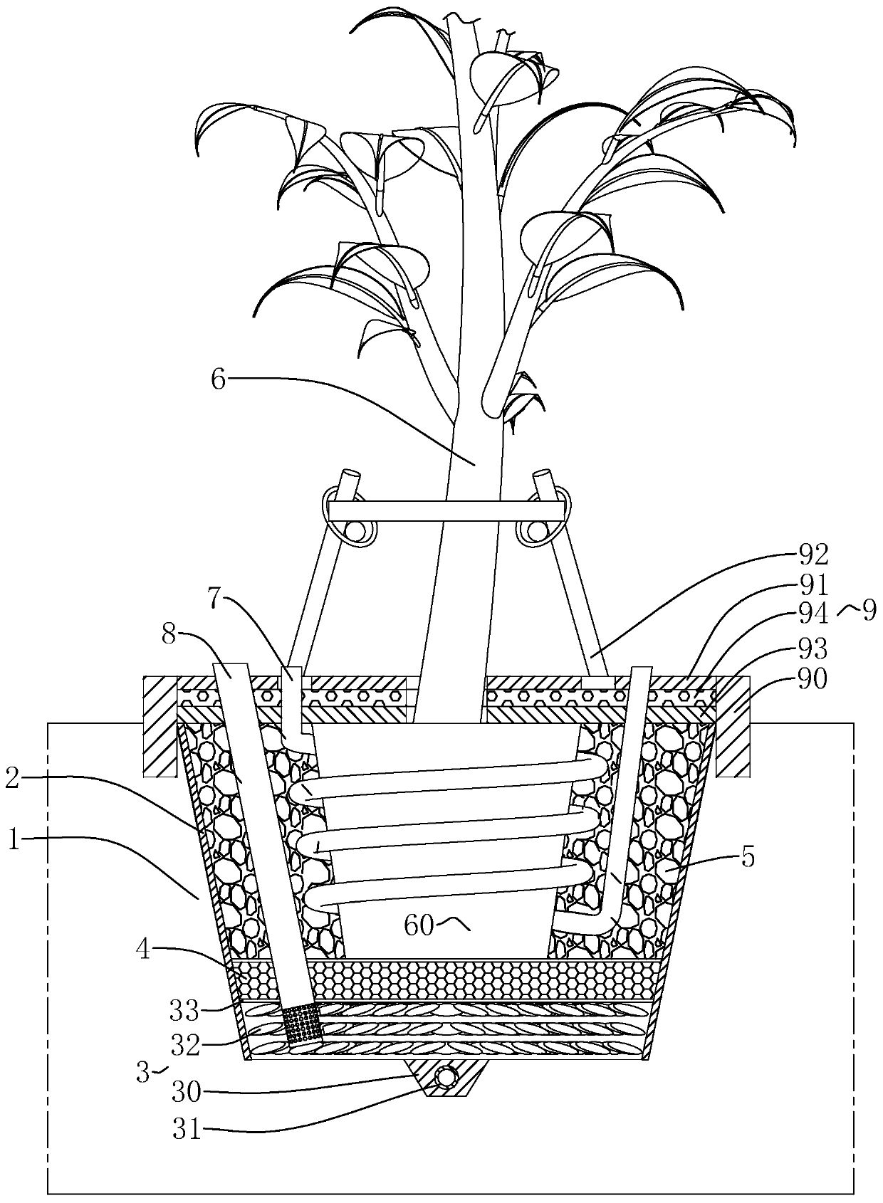 Big tree planting structure in coastal saline-alkali land