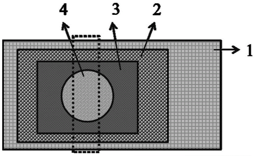 A tio with a built-in electric field  <sub>2</sub> Heterogeneous junction ultraviolet/deep ultraviolet detector device and its preparation