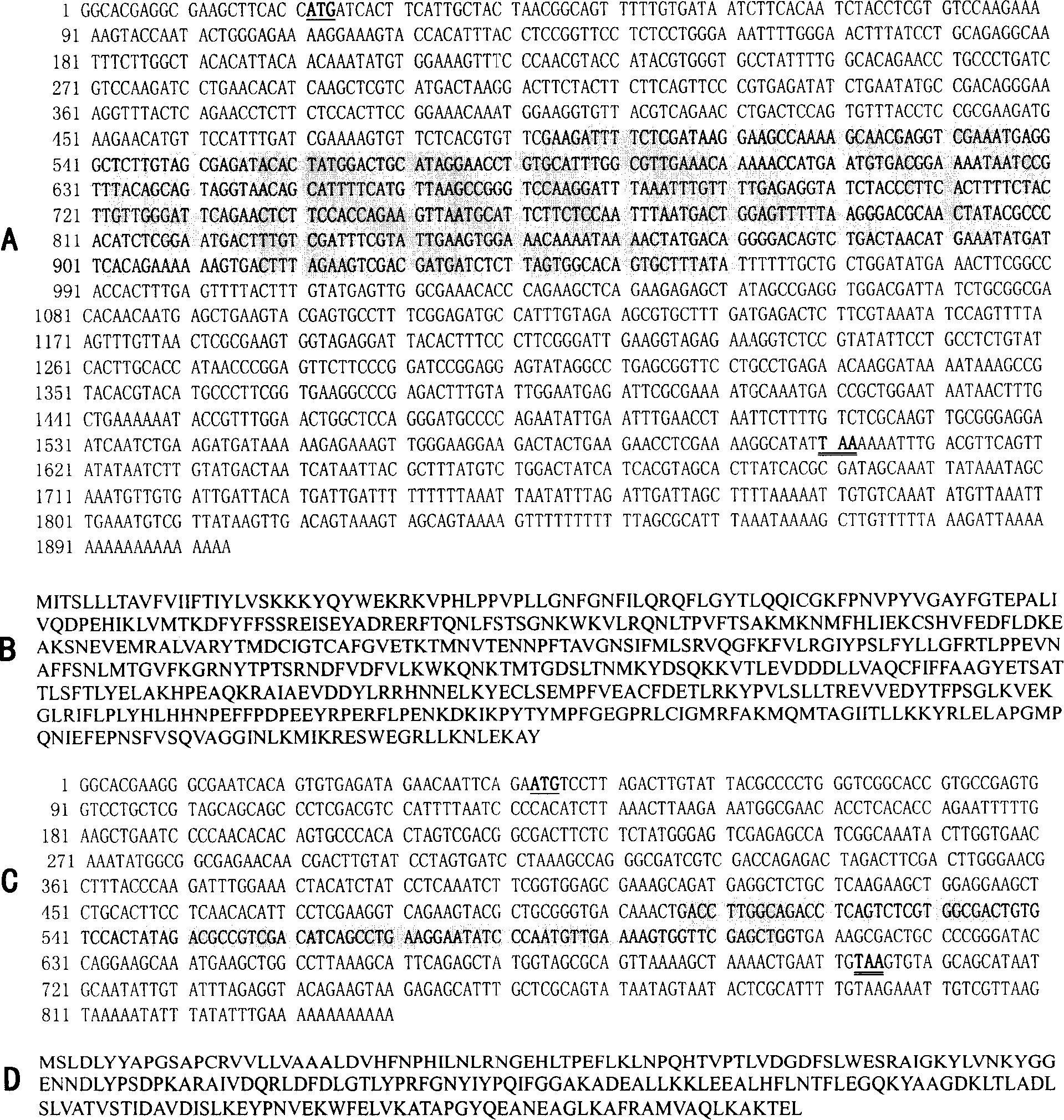 Method for improving insect resistance of plant by using RNAi technique