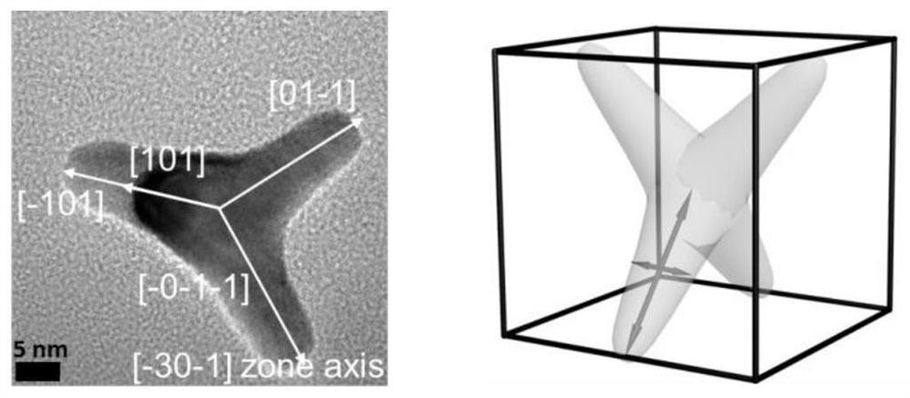 Four-branched gold nanoparticles, preparation method and application thereof