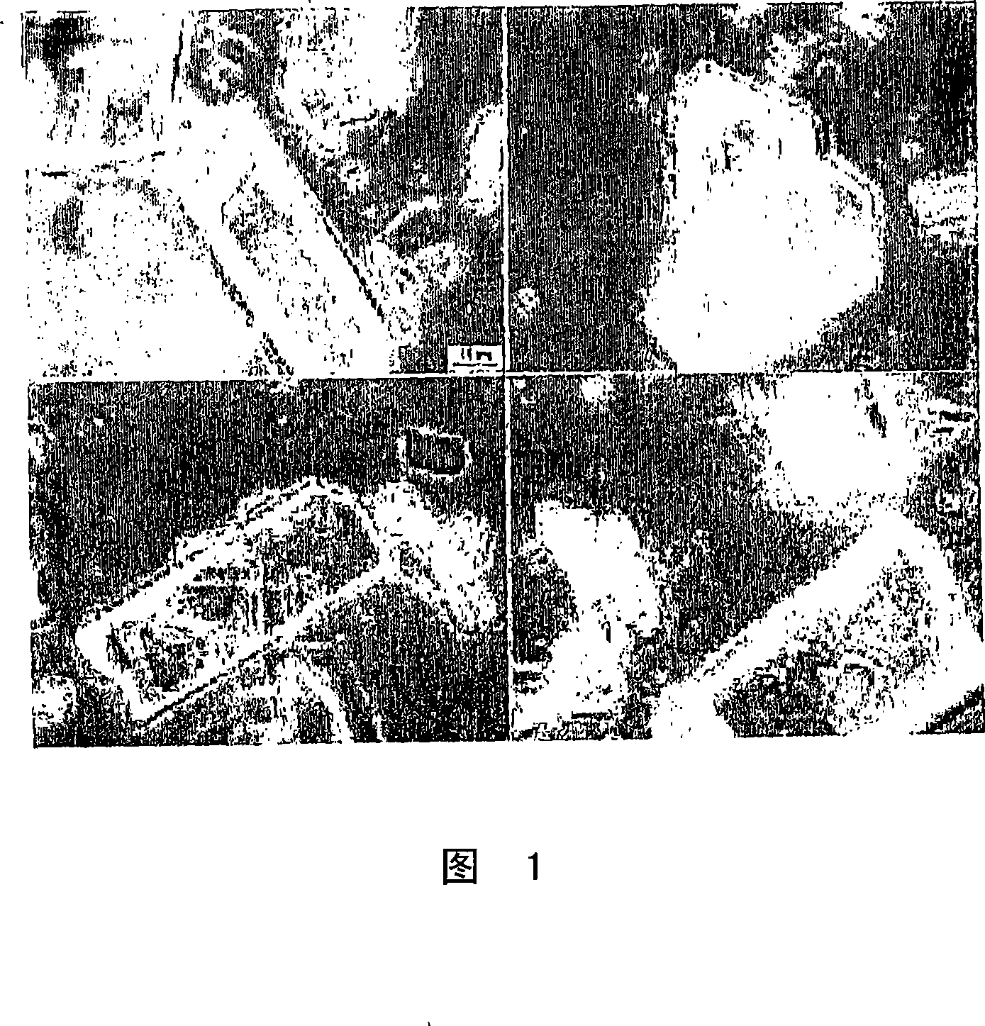 Injectable compositions of nanoparticulate immunosuppressive compounds