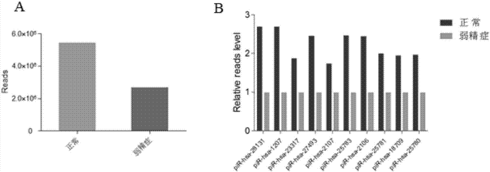 Sperm piRNA (Piwi-interacting Ribonucleic Acid) marker combination related to male reproductive functional disturbance and application thereof