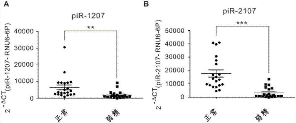 Sperm piRNA (Piwi-interacting Ribonucleic Acid) marker combination related to male reproductive functional disturbance and application thereof