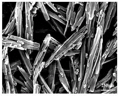 Preparation method of rare-earth yttrium vanadate