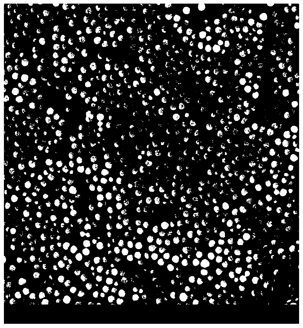 Amidoxime modified silicon dioxide nano microsphere composite material and preparation method thereof