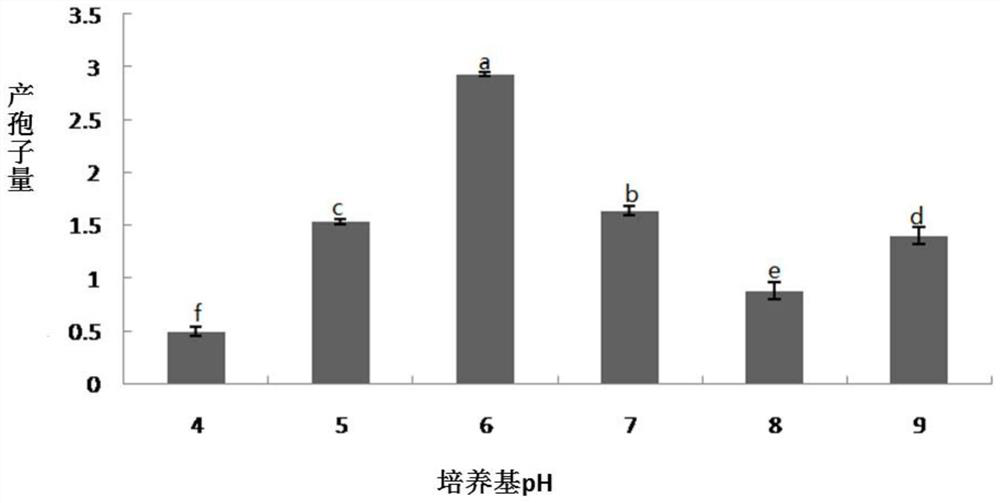 Aspergillus flavus strains and uses thereof