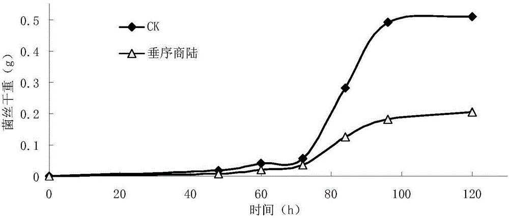 Phytolacca americana extract and application of phytolacca americana extract in preventing and treating dalbergia odorifera anthracnose