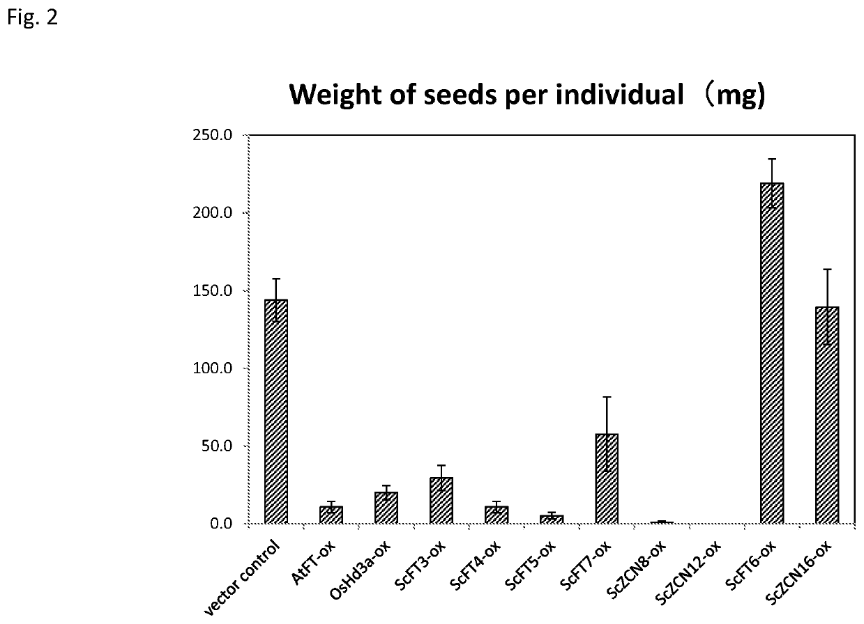 Transformed plant and flowering regulation method using flowering-inducing gene