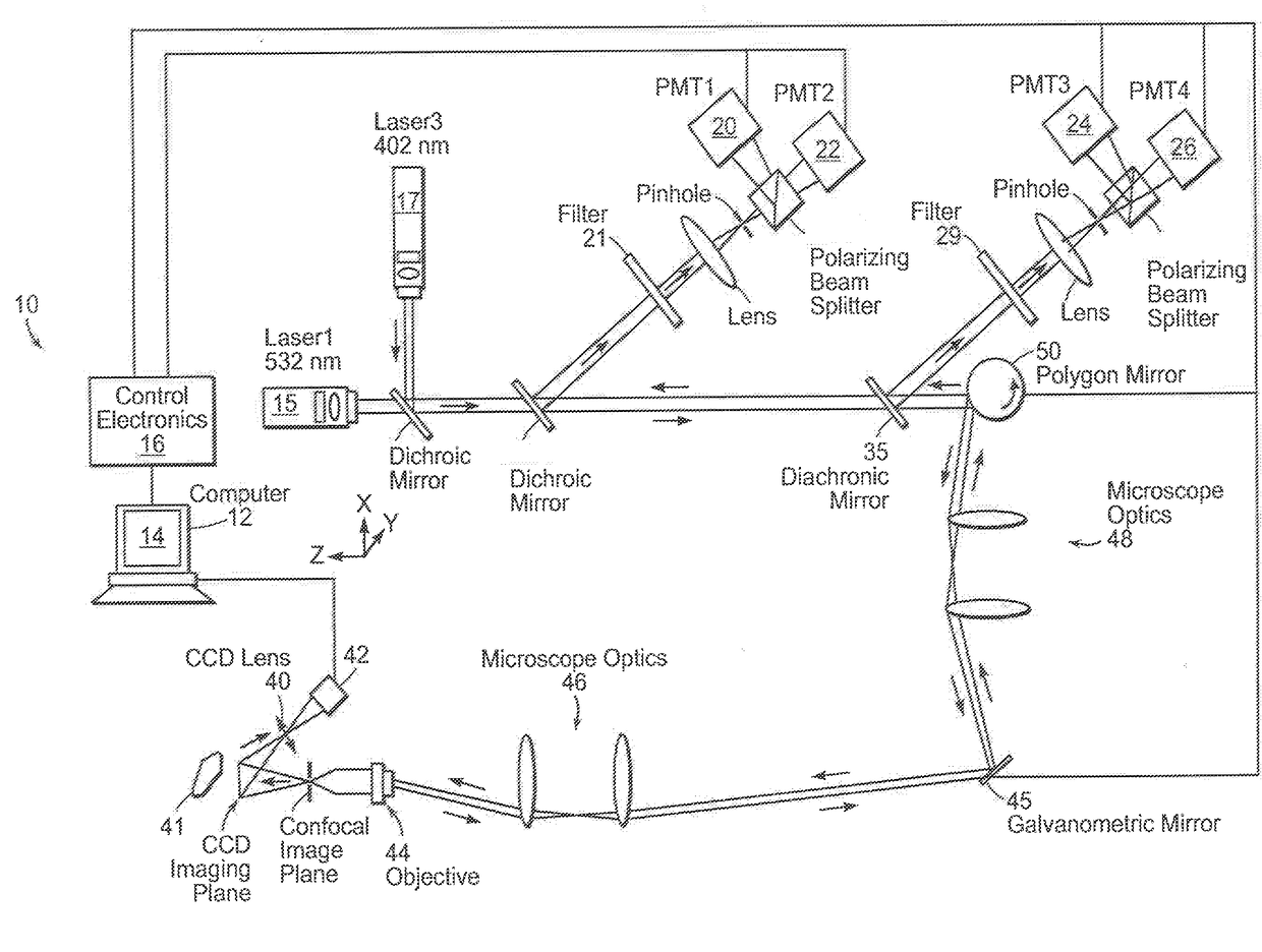 Devices and methods for optical pathology