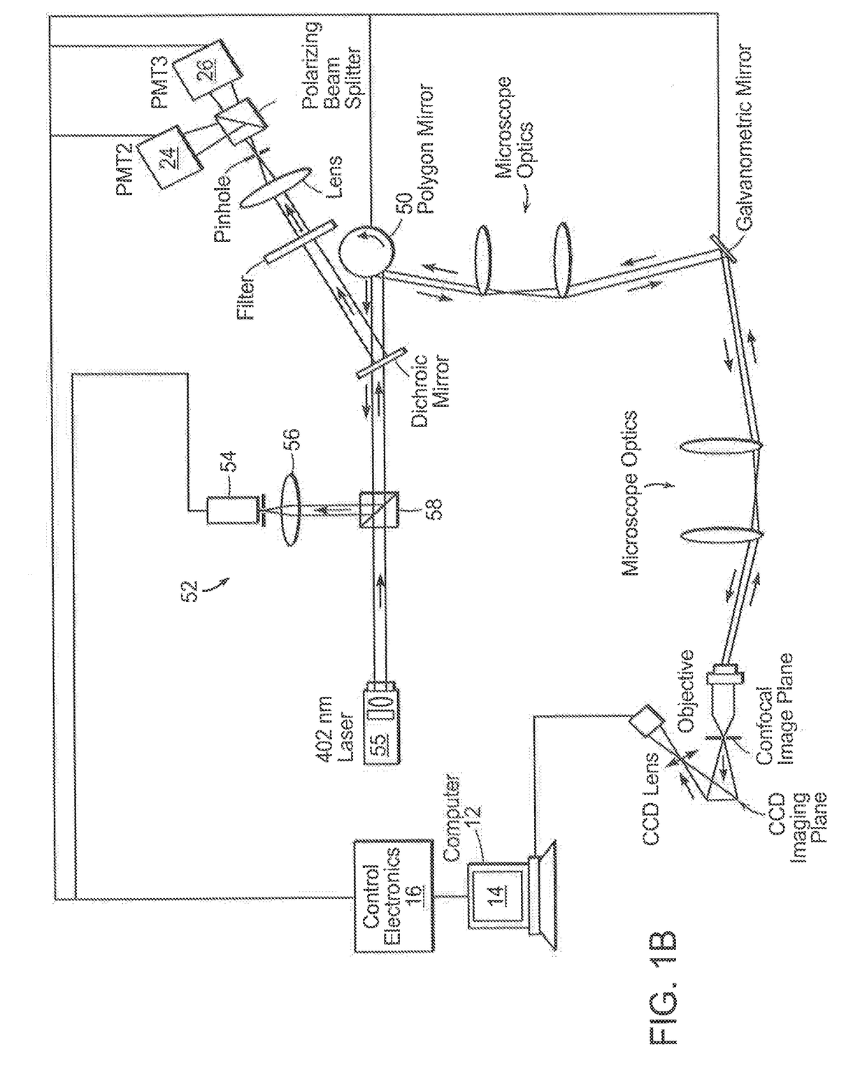 Devices and methods for optical pathology