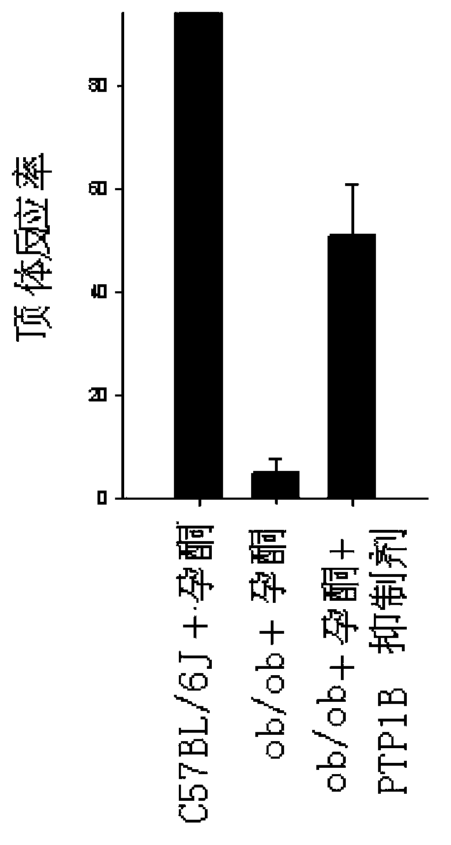 Novel application of PTP1B (protein tyrosine phosphates 1b) inhibitor