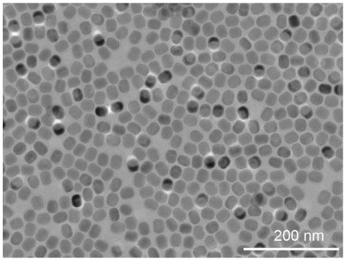 Preparation and application of a same-energy rare earth luminescent probe based on change of luminescence lifetime