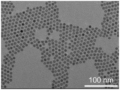 Preparation and application of a same-energy rare earth luminescent probe based on change of luminescence lifetime