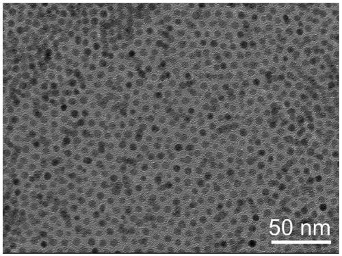 Preparation and application of a same-energy rare earth luminescent probe based on change of luminescence lifetime