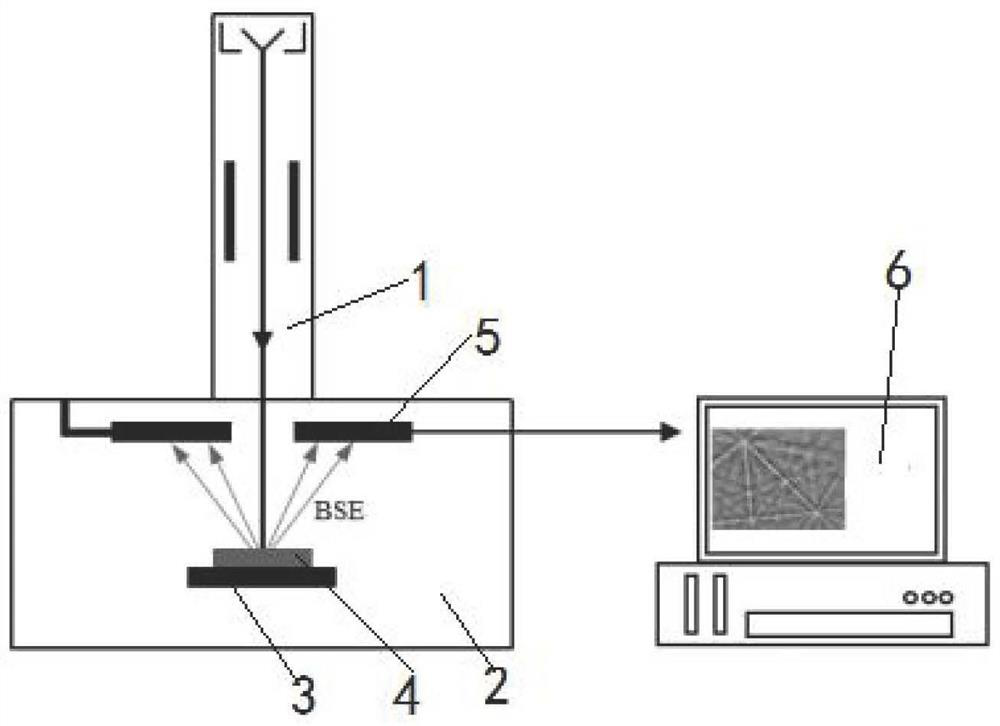 Flat insertion type electronic probe and detection method