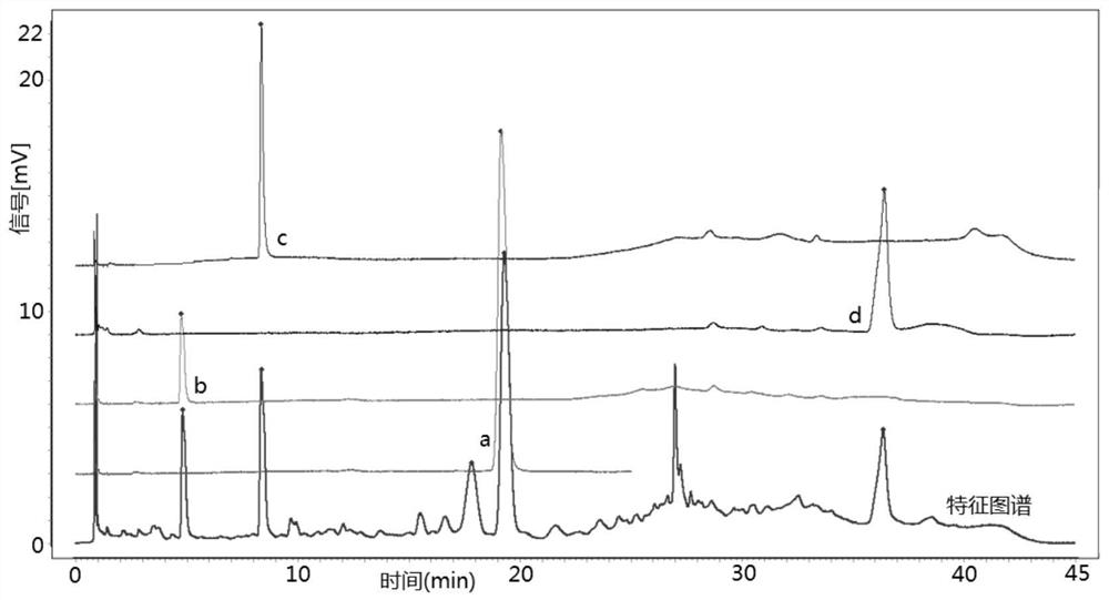 Rosa laevigata formula granules as well as preparation method and quality detection method thereof