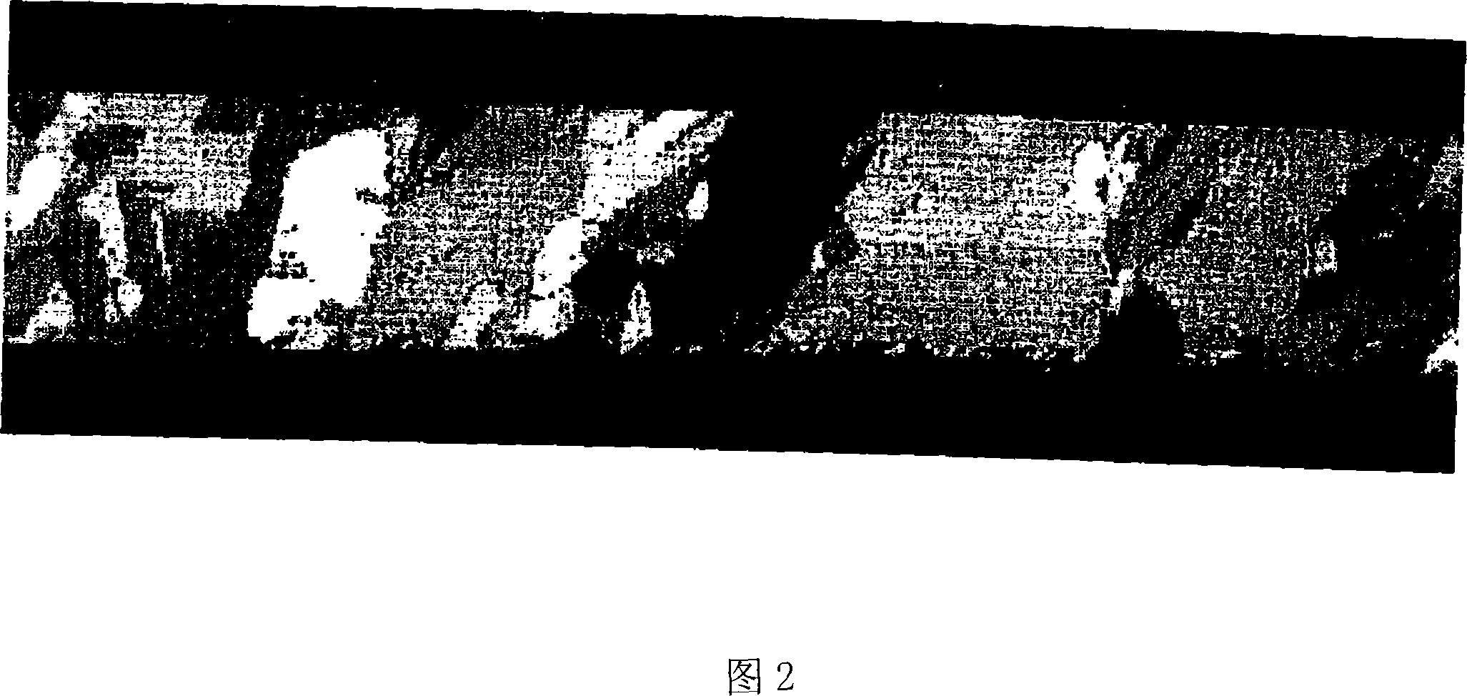 Flexible printed wiring board and semiconductor device