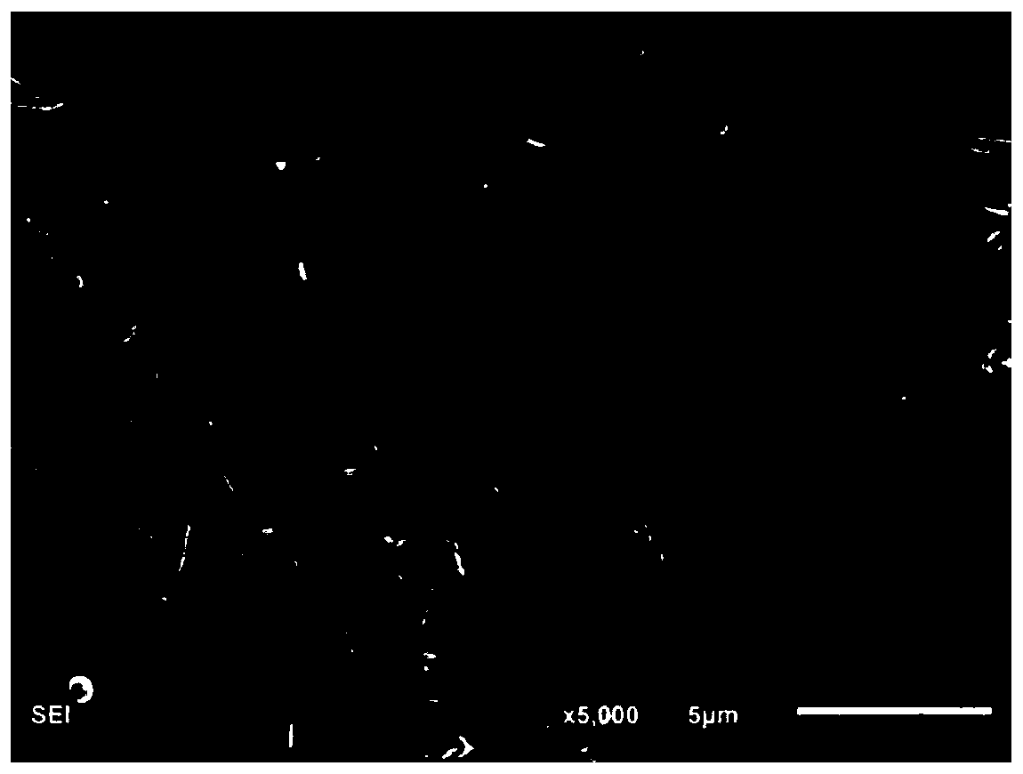 A nanofiber membrane filter material with antibacterial function and preparation method thereof