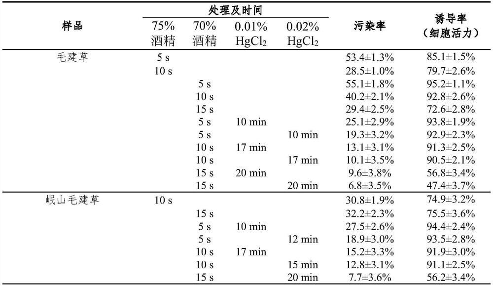 A Tissue Culture Rapid Propagation Method of Orchid and Its Application