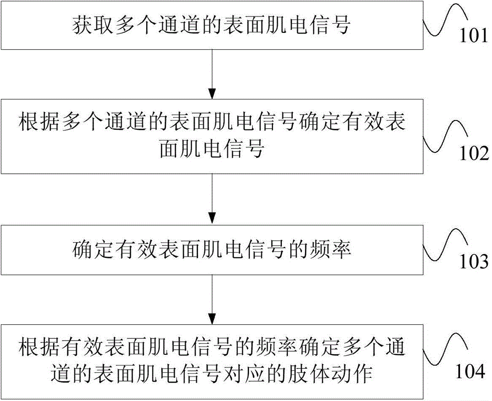 Action recognition method and equipment based on surface electromyogram signals