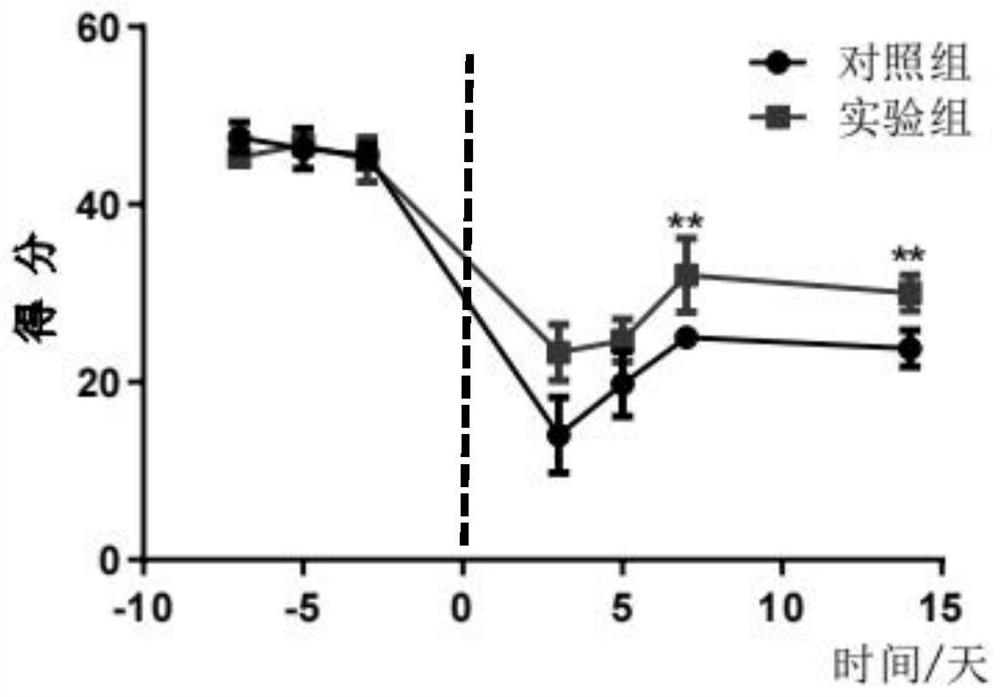 Preparation method of injectable photocuring hemostatic hydrogel for traumatic brain injury