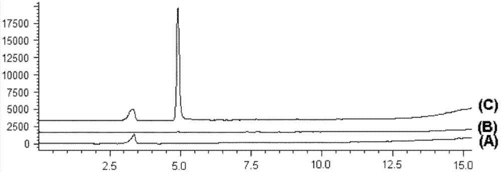 Application of salvianolic acid C in preparation of drugs for prevention and treatment of hyperuricemia