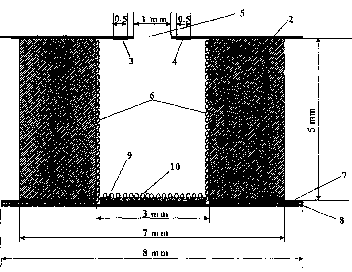 Electrochemcial immunoassay for tumor marker and small size immunoassay chip