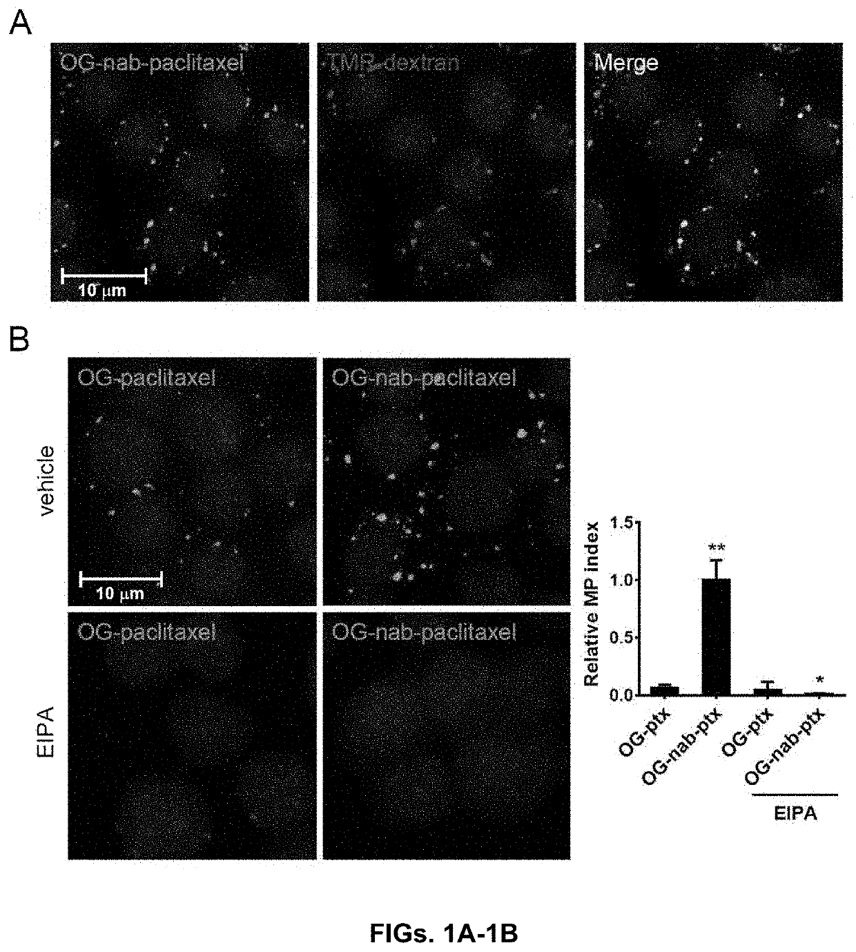 Methods and reagents for modulating macrophage phenotype