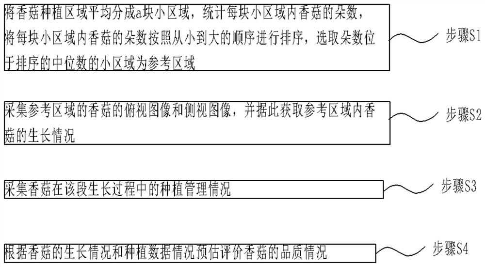 A quality evaluation and prediction system and method for strain culture and growth