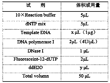 Treatment method of chromosome preparation used for fluorescence in situ hybridization of hyacinthus plant root tip chromosomes