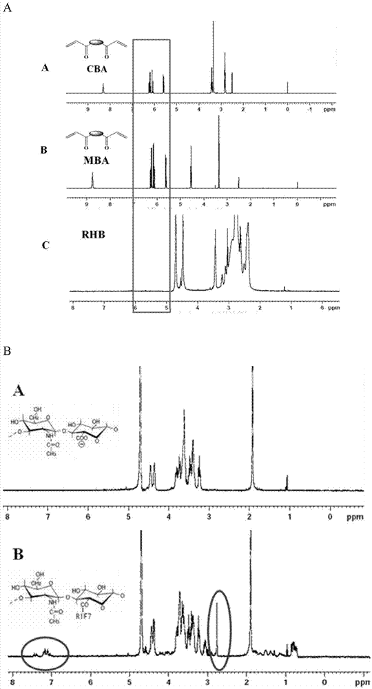 Double-targeted ternary complex nucleic acid transfer and release system and preparation method thereof