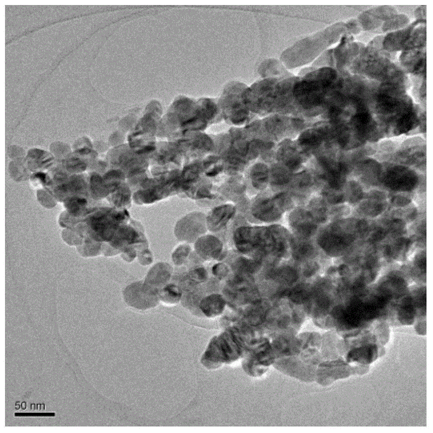 Method for detecting cytotoxicity of nano materials through yeast mutant strains