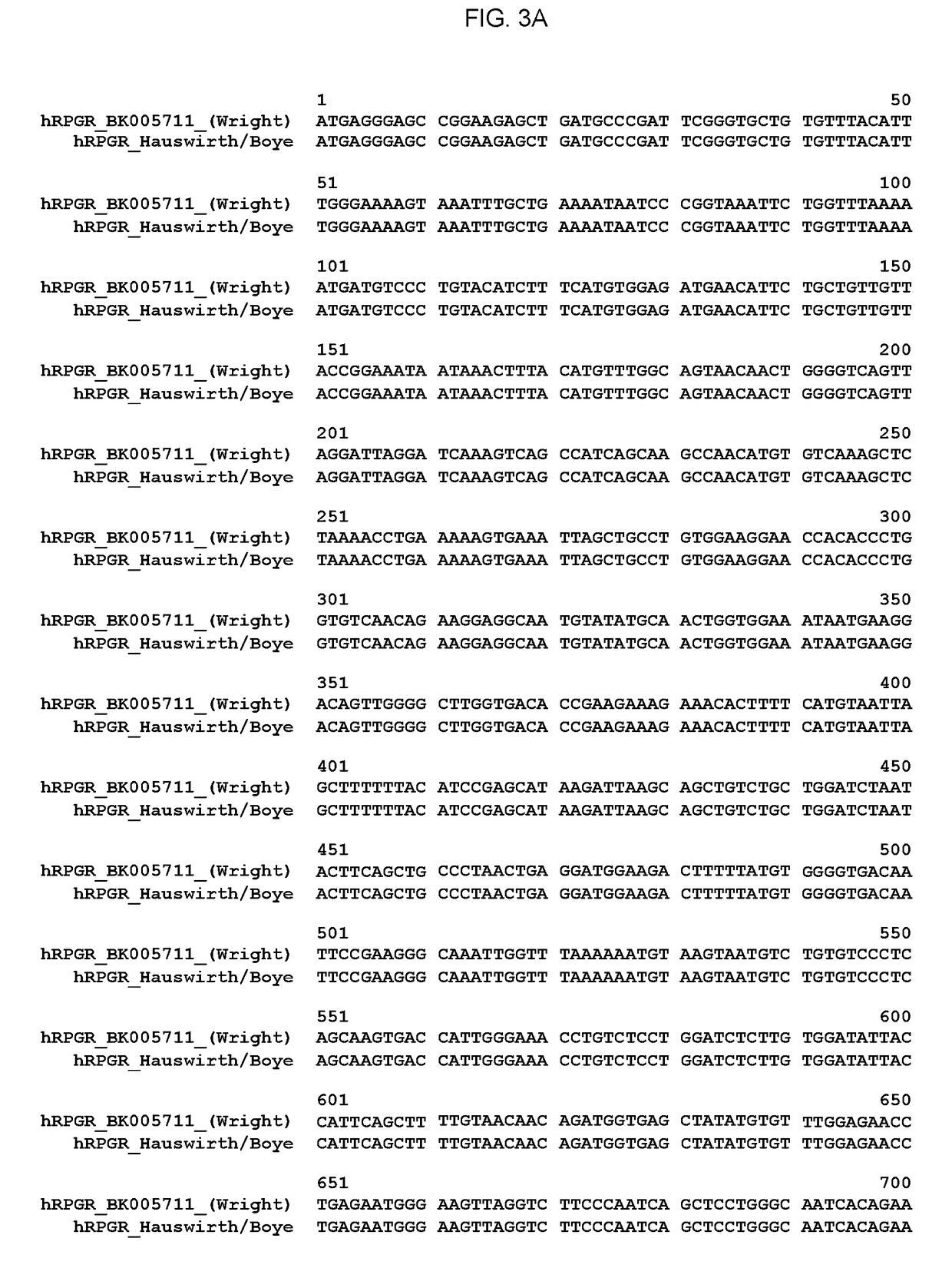 Aav-mediated gene therapy for rpgr x-linked retinal degeneration