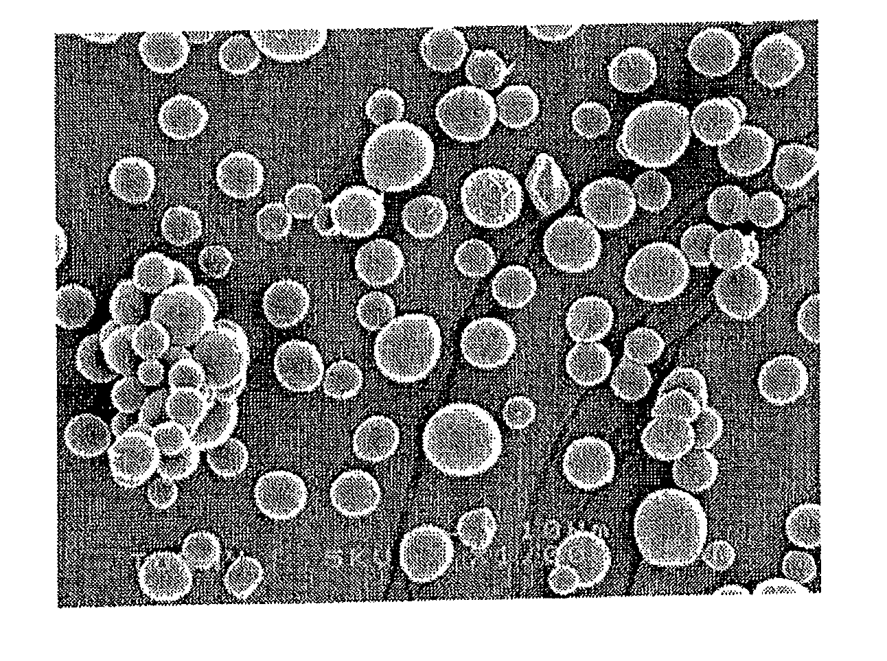 Polyamide 1010 polymer particles and method for producing same