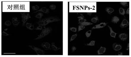 Fluorescent silica nanoparticles with nano-hydrophobic cage structure, preparation method and application thereof